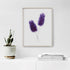 Purple Hyacinth Floral Art Print